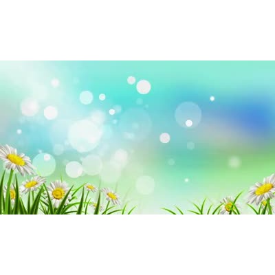 Spring Reflections motion graphic preview.