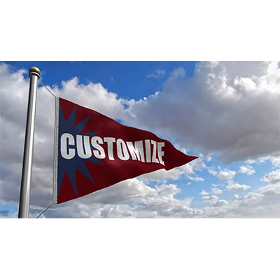 Flag Triangle Custom motion graphic preview.