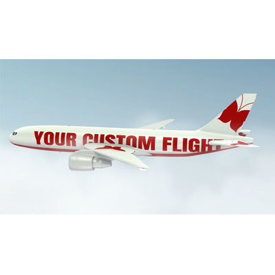 Airplane Flying motion graphic preview.