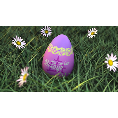 Easter Egg In Grass Custom motion graphic preview.