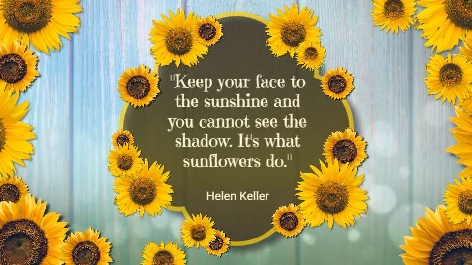 Summer Sunflowers motion graphic preview.