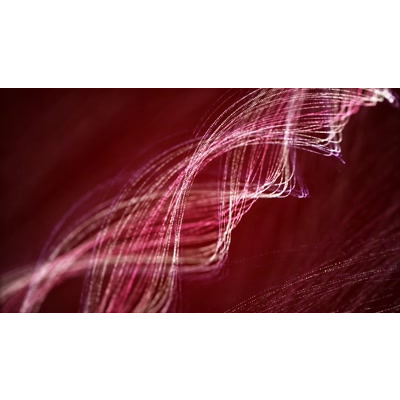 Scarlet Whirl motion graphic preview.