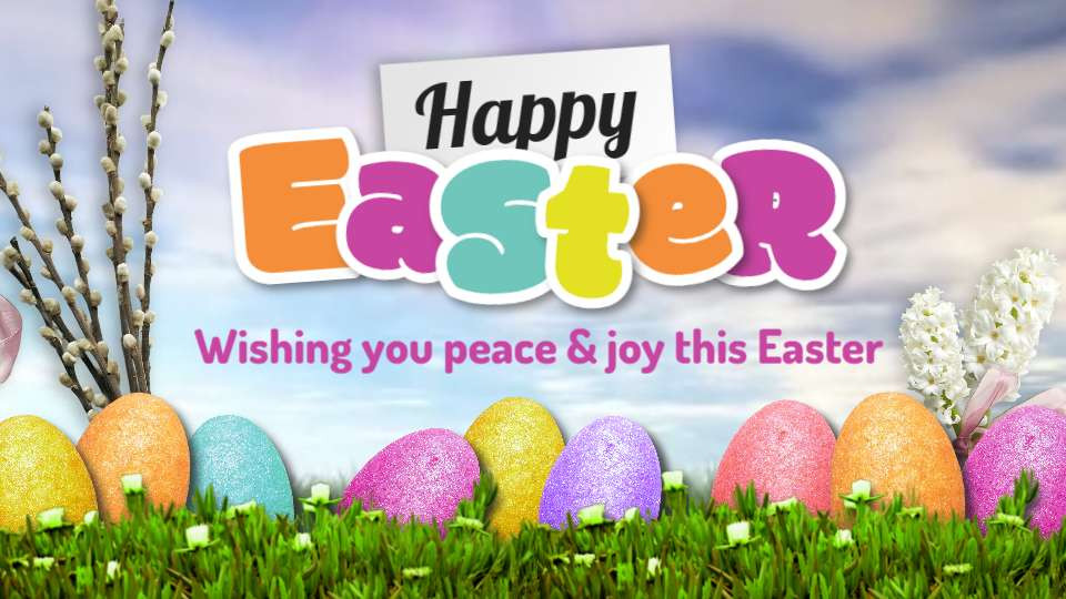 easter eggs video background preview image.