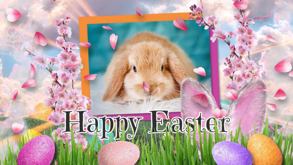 Easter Photo Layout motion graphic preview.