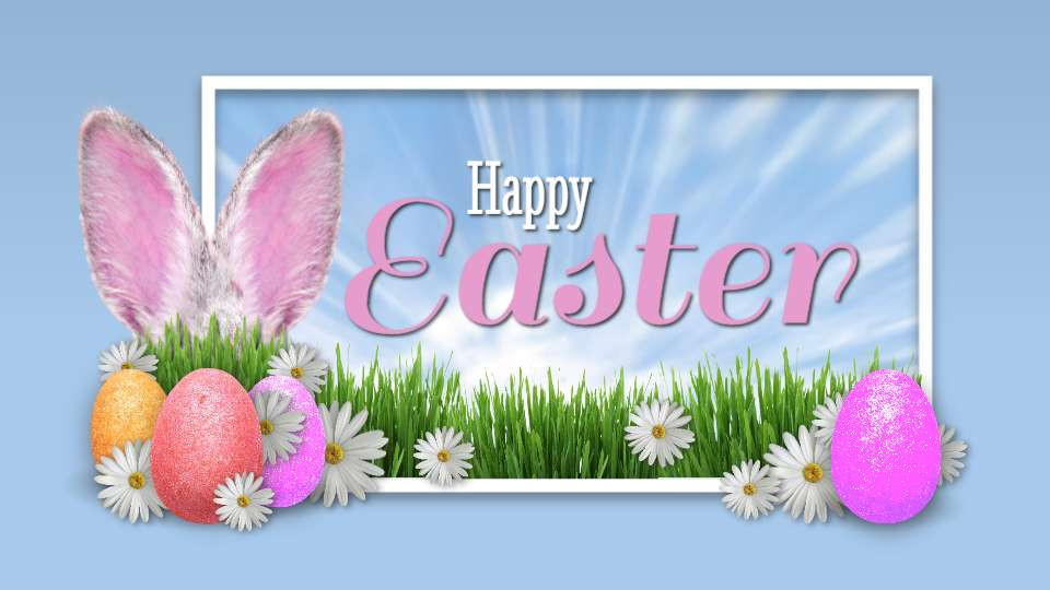 Easter Ears motion graphic preview.
