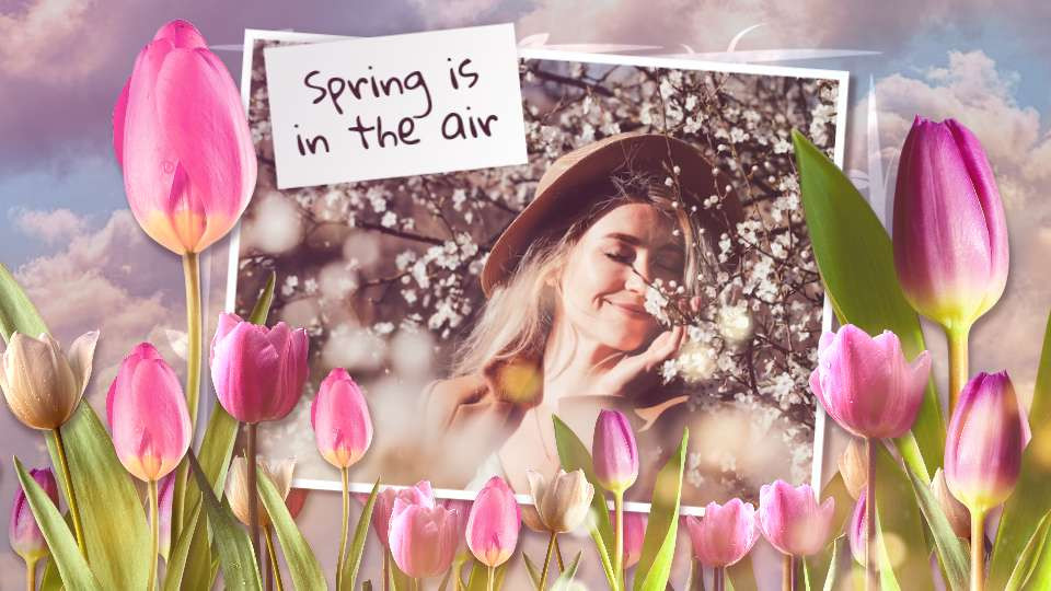 Tulip Photo Layout motion graphic preview.
