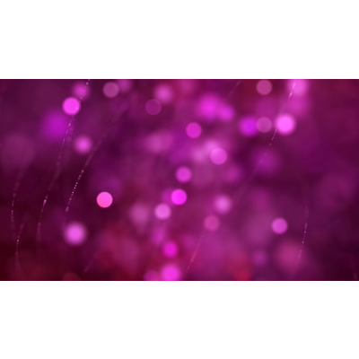 Lavender Coast motion graphic preview.
