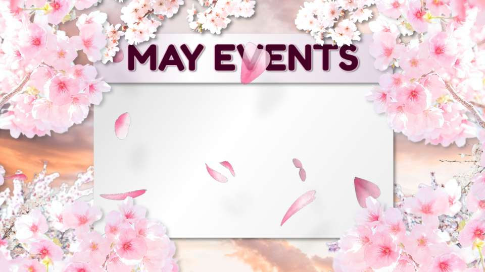 Cherry Blossom May Calendar motion graphic preview.