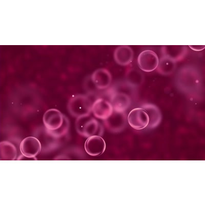 Mulberry Flight motion graphic preview.