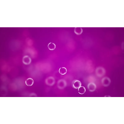 Magenta Glide motion graphic preview.