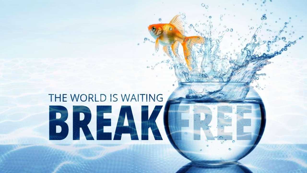 Goldfish Break Free motion graphic preview.