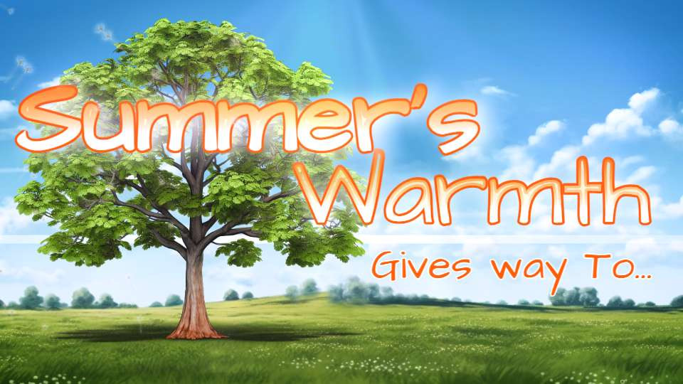 Summer to Autumn Video Background motion graphic preview.