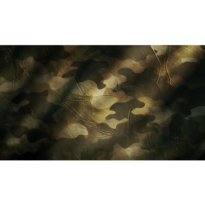 Wavy Camouflage Army Pattern Video motion graphic preview.