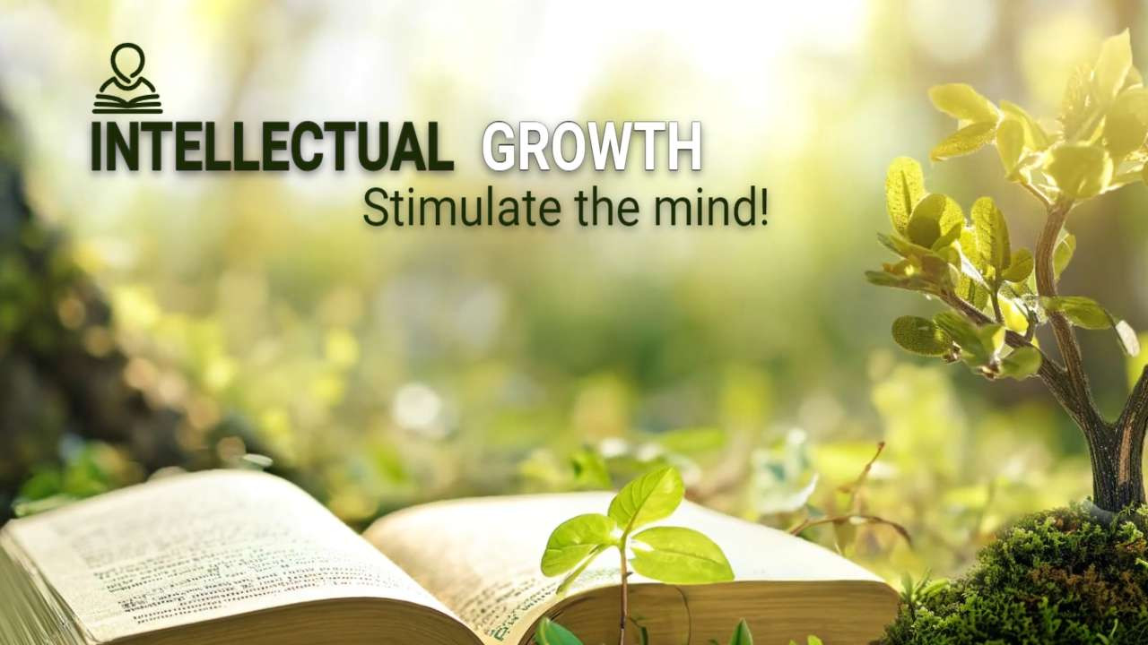 Open Book by Tree Video motion graphic preview.