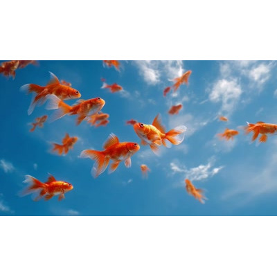 Goldfish Floating in the Sky Video Background motion graphic preview.