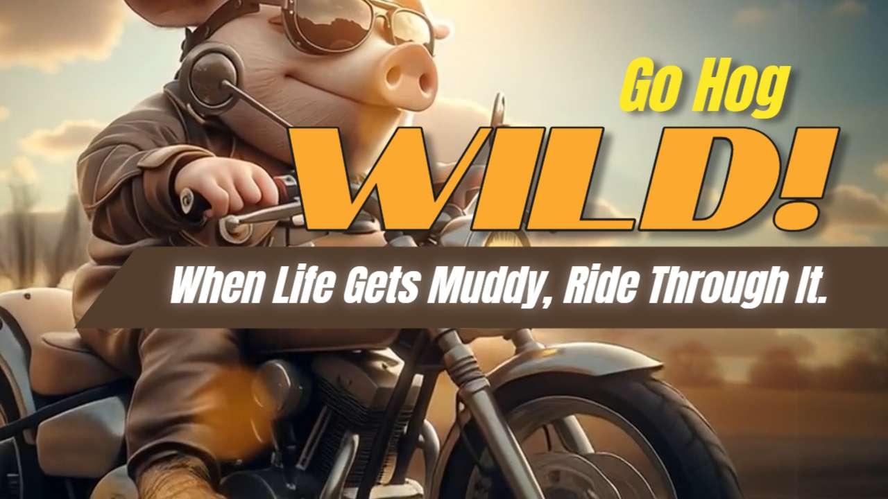 born to be hog wild motorcycle video background preview image.