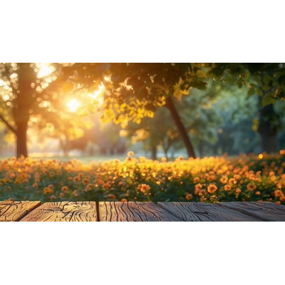 A Video Background of a  Summer Park motion graphic preview.