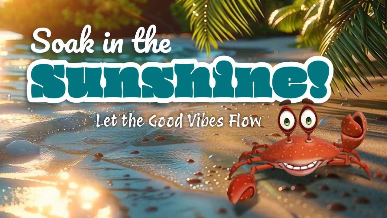 A Video Background of a Tropical Summer Beach motion graphic preview.