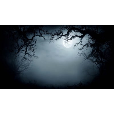 Spooky Foggy Woods Video Background motion graphic preview.